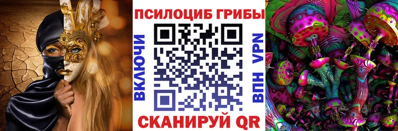 где купить наркоту  Благовещенск  Псилоцибиновые грибы Magic Shrooms 
